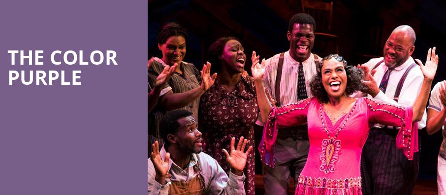 The Color Purple, Bernard B Jacobs Theater, New York