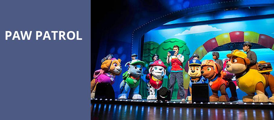 Paw Patrol, The Theater At Madison Square Garden, New York