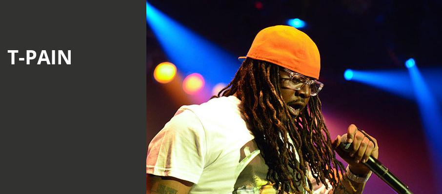 T Pain, Capital One City Parks Foundation SummerStage, New York