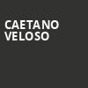 Caetano Veloso, Mccarter Theatre Center, New York