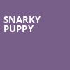 Snarky Puppy, Mccarter Theatre Center, New York