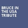 Bruce In The USA Tribute, The Cutting Room, New York