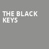 The Black Keys, Madison Square Garden, New York