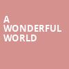 A Wonderful World, Studio 54, New York