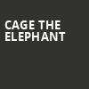 Cage The Elephant, Madison Square Garden, New York