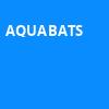 Aquabats, Webster Hall, New York