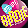 Bye Bye Birdie at the Henry Millers Theater, Broadway, New York