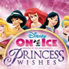Disney On Ice: Princess Wishes at Nassau Coliseum $showName at $venueName