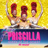 Priscilla Queen of the Desert at Palace Theater, New York, NY