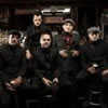 Street Dogs