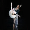 Swan Lake