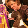 Westminster Kennel Club Dog Show