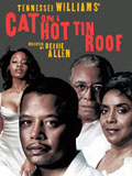 Cat on a Hot Tin Roof
