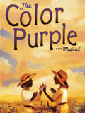 The Colour Purple