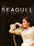 The Seagull