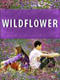 Wildflower