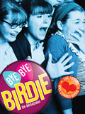 Bye Bye Birdie
