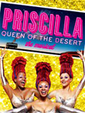 Priscilla Queen Of The Desert at the Palace Theater, New York