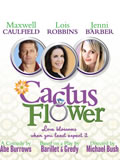 Cactus Flower