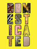 Domesticated at the , New York Domesticated at the , New York