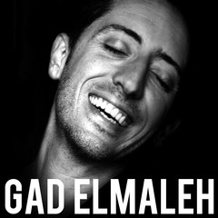 gad elmaleh at isaac stern auditorium at carnegie hall new murray theater seating chart