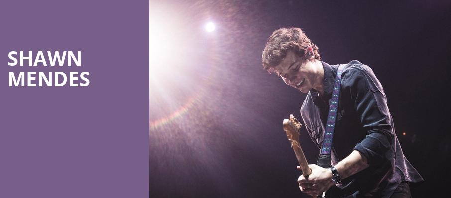 Shawn Mendes, Barclays Center, New York