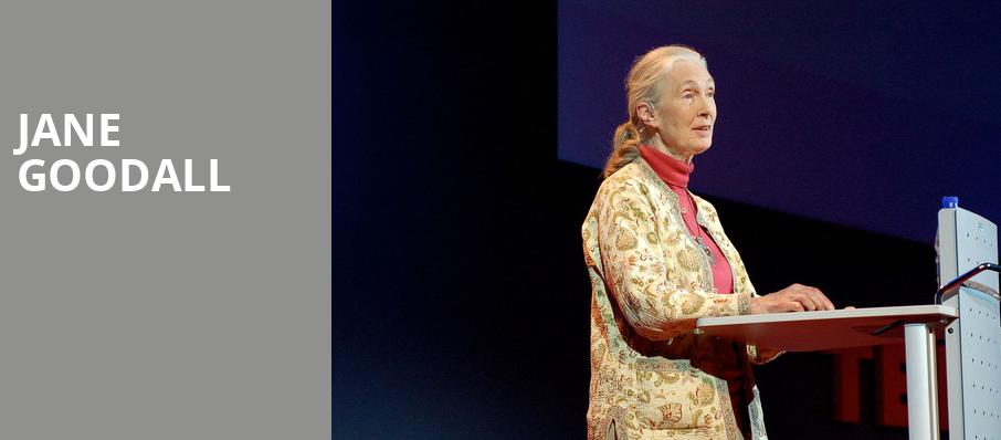 Jane Goodall, Kaufmann Concert Hall, New York