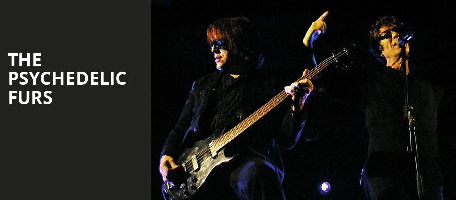 The Psychedelic Furs, Wellmont Theatre, New York