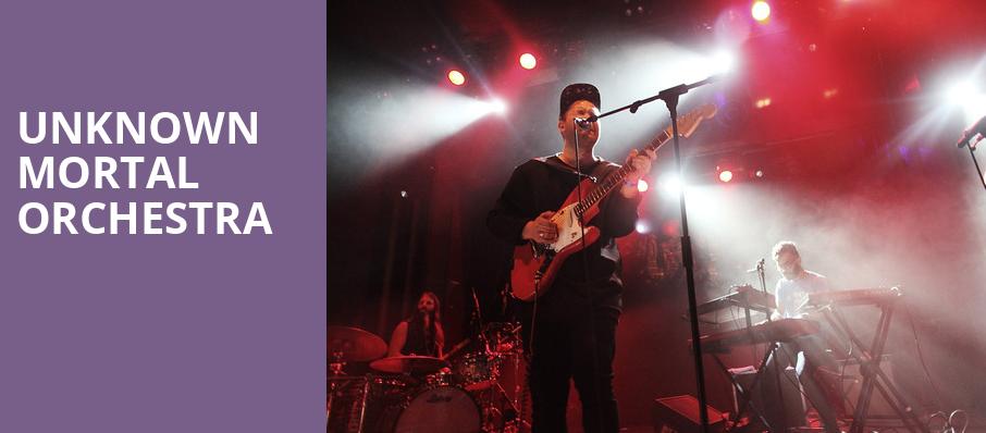 Unknown Mortal Orchestra, Webster Hall, New York
