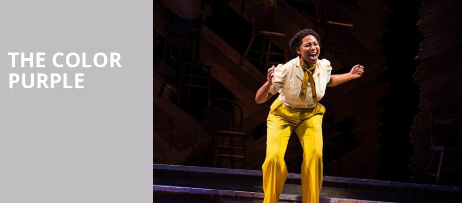 The Color Purple, Paper Mill Playhouse, New York