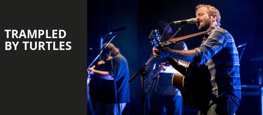 Trampled by Turtles, Webster Hall, New York
