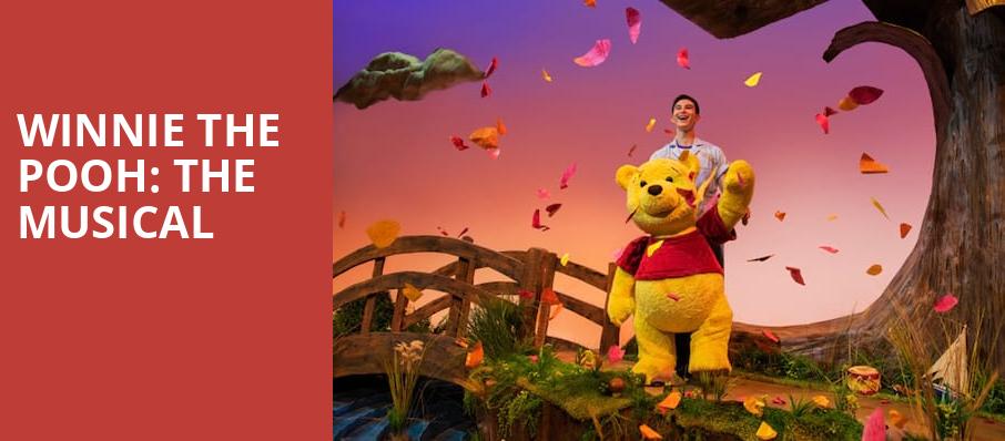 Winnie the Pooh The Musical, Hackensack Meridian Health Theatre, New York