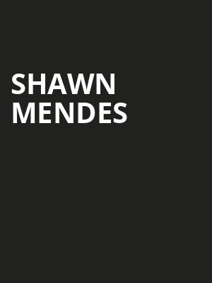 Shawn Mendes, Prudential Center, New York