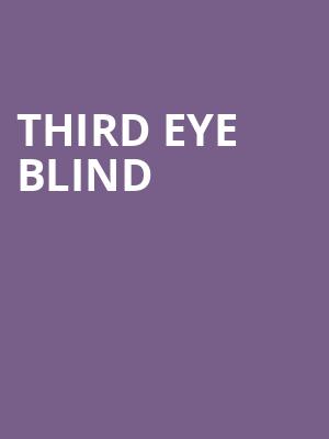 Third Eye Blind, Northwell Health, New York