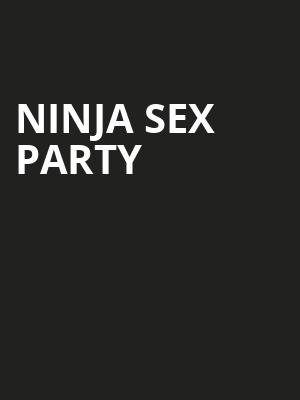 Ninja Sex Party, Irving Plaza, New York