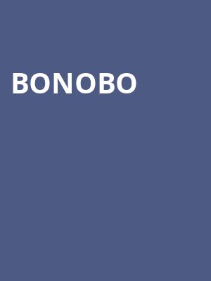 Bonobo, Brooklyn Mirage, New York