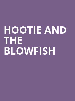 Hootie and the Blowfish, Bethel Woods Center For The Arts, New York