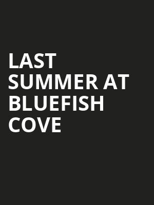 Last Summer At Bluefish Cove Poster