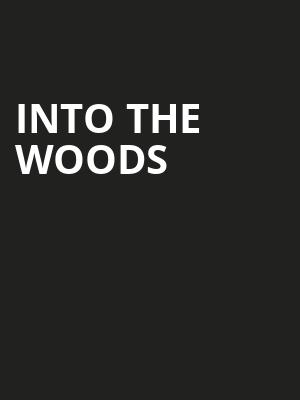 Into the Woods, St James Theater, New York