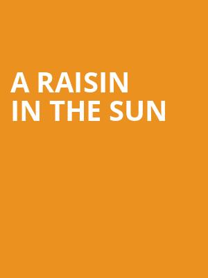 A Raisin In The Sun Poster