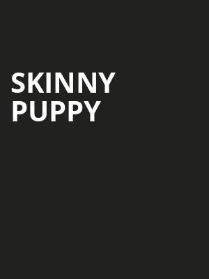 Skinny Puppy, Irving Plaza, New York