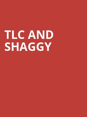 TLC and Shaggy, Northwell Health, New York