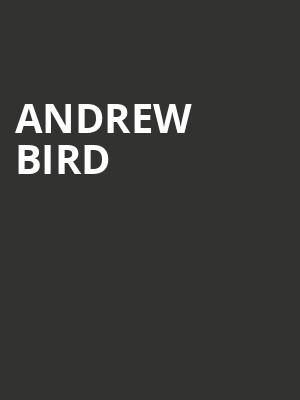 Andrew Bird Poster