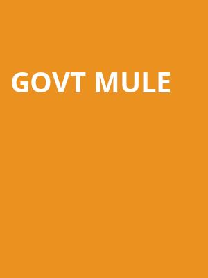 Govt Mule, Beacon Theater, New York