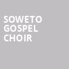 Soweto Gospel Choir, Lehman Performing Arts Center, New York