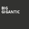 Big Gigantic, Brooklyn Mirage, New York