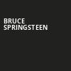 Bruce Springsteen, Madison Square Garden, New York