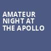 Amateur Night At The Apollo, Apollo Theater, New York