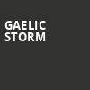 Gaelic Storm, Mulcahys, New York