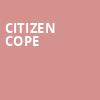 Citizen Cope, Town Hall Theater, New York